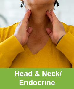 Head & Neck / Endocrine